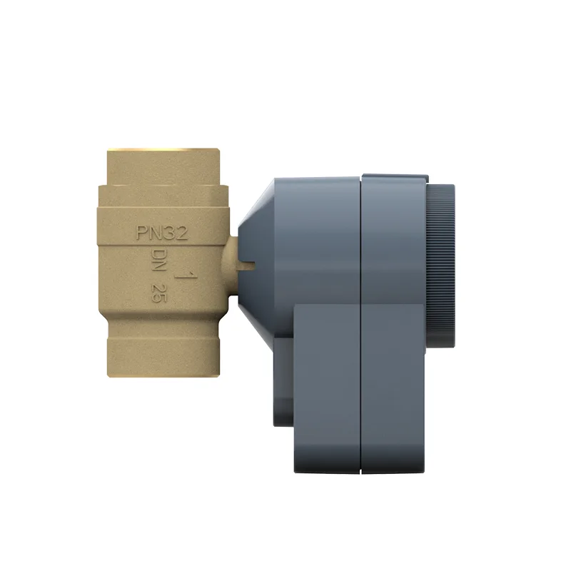 Stellmotor AQD mit 2-Wege Kugelventil BVQ21..L, Innengewinde